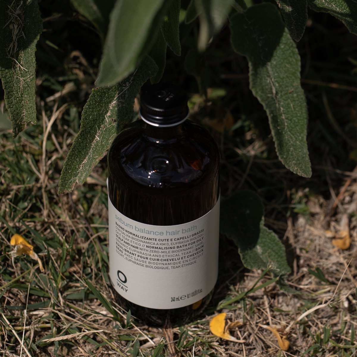 Oway Sebum Balance Hair Bath amber bottle nestled in biodynamic sage leaves